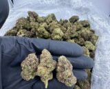 Fresh strawberries with vibrant red jelly on a white plate.