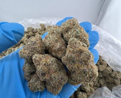 Close-up of Big Back cannabis strain featuring dense green buds with orange hairs and frosty trichomes.