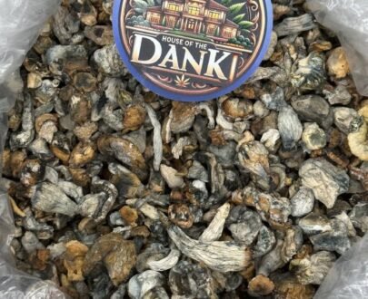 Close-up of Penis Envy Shroom Smalls featuring small, dense mushroom caps and thick stems.