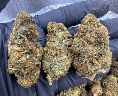 Close-up image of LA Kush Cake cannabis buds showing frosty trichomes and dense purple-green nuggets.