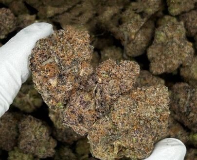 Sirius Black cannabis strain