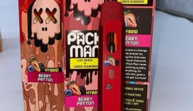 Packman 2 Gram Disposable Live Resin