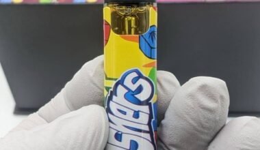 Norder Sour Gushers 2g live resin disposable vape pen with sleek design and vibrant packaging