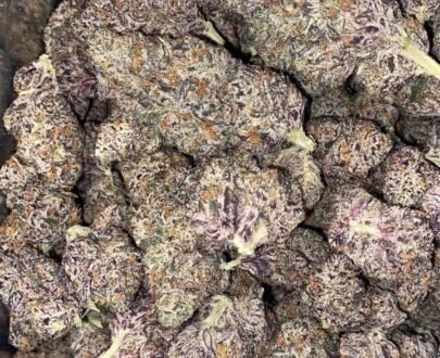 Close-up of White Cherry Runt cannabis buds with white trichomes and purple hues