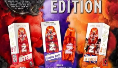 10/10 Boys x Terphogz – 1 Gram Live Resin Kit | Premium Live Resin Pod