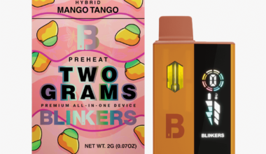 Blinkers Disposable Vape 2 Gram